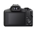 Бездзеркальний фотоапарат Canon EOS R100 kit 18-45mm + 55-210mm IS STM (6052C036/6052C023) 103612 фото 5