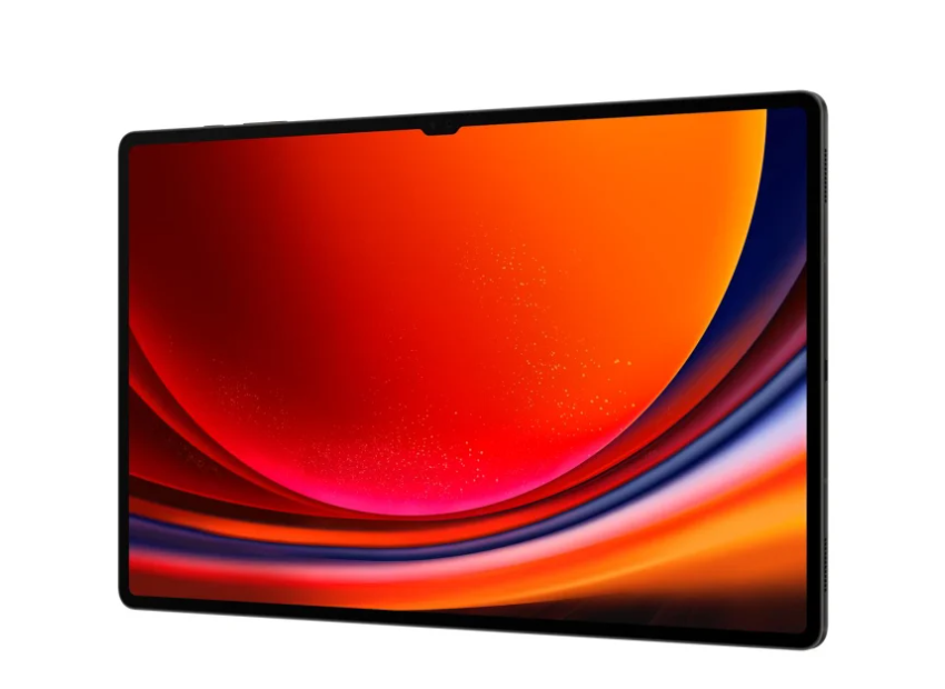 Планшет Samsung Galaxy Tab S9 Ultra 16/1TB Wi-Fi Graphite (SM-X910NZAI) 103197 фото