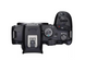Бездзеркальний фотоапарат Canon EOS R7 + RF-S 18-150mm f/3.5-6.3 IS STM (5137C010/5137C015) 103673 фото 7