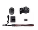Бездзеркальний фотоапарат Canon EOS R8 kit RF 24-50mm IS STM (5803C016/5803C013) 103617 фото 9